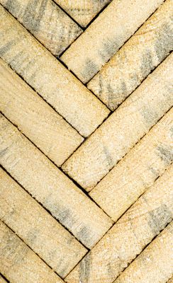 Texture of wood