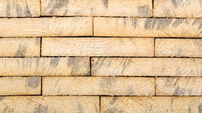 Texture of wood
