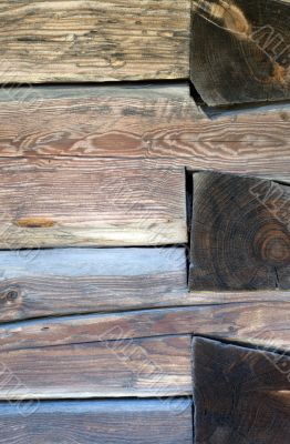 Composition of wood