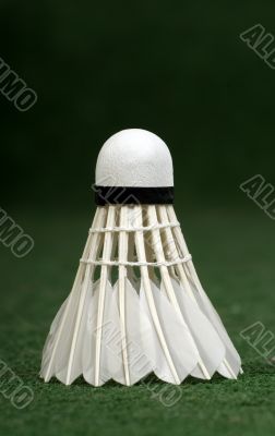 White badminton