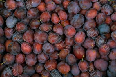 Plum
