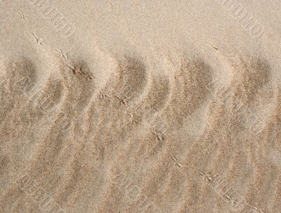 Sand