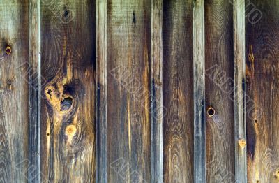 Composition of wood
