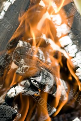 The fire