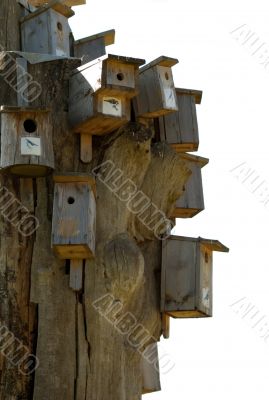Nesting box