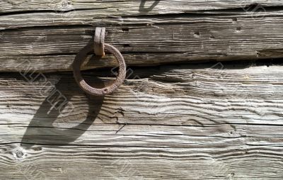 Composition of wood