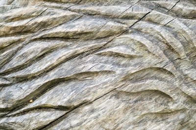Wood