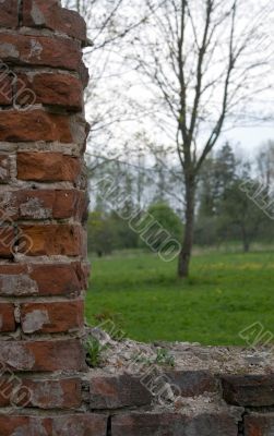 Old wall