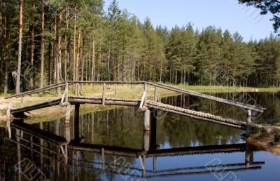 Bridge