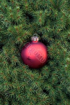 Christmas toy