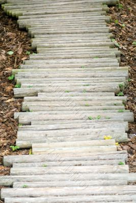 Wood