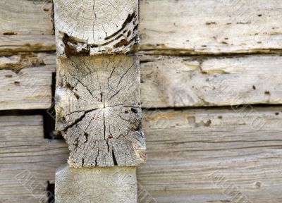 Composition of wood