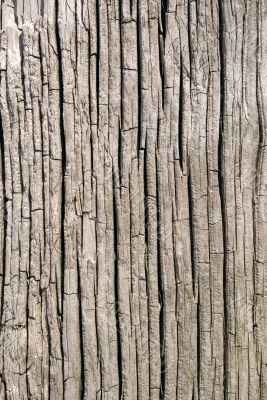 Wood