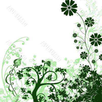 Green frame for congratulations