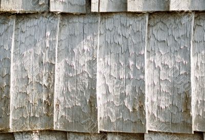 Composition of wood