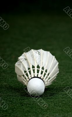 White badminton