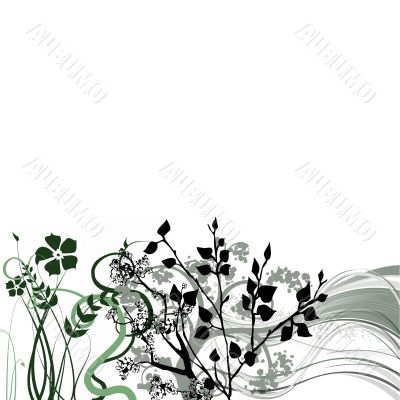 Green frame for congratulations