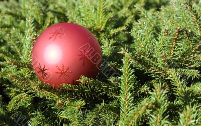 Christmas toy