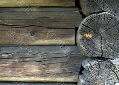 Composition of wood