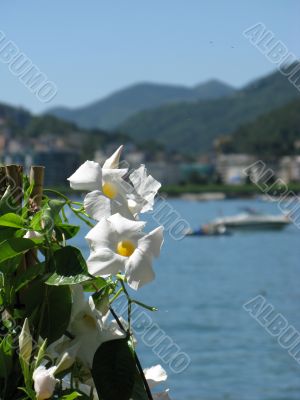 Lugano lake. Switzerland.