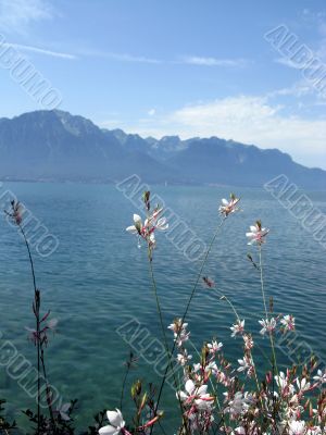 Lake Geneva.