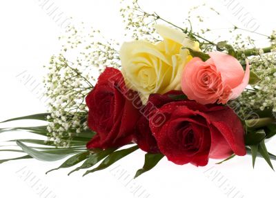 Bouquet of roses