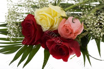 Bouquet of roses