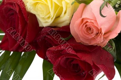 Bouquet of roses