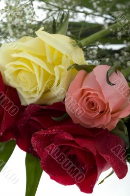 Bouquet of roses