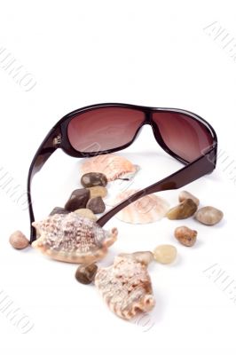 sunglasses, shells and pebbles