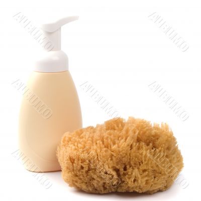 sponge and shower gel