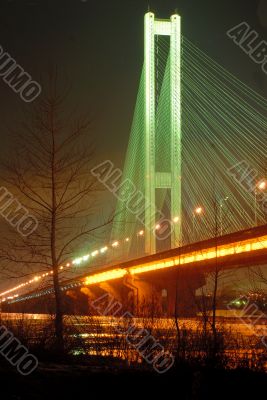 South Bridge at Night, Kiev, UA