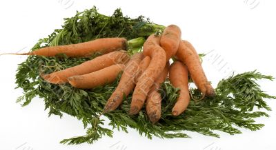 Carrots