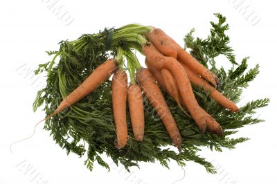 Carrots