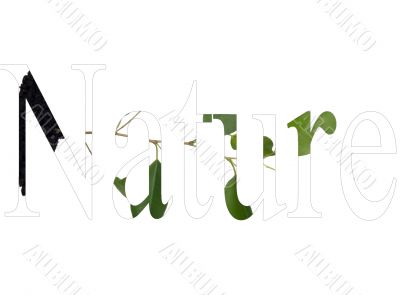 Plant and soil
