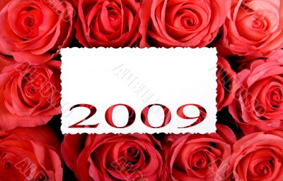Year 2009