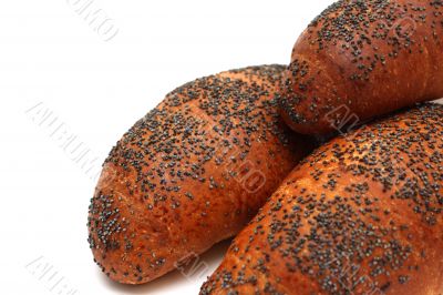 Fresh buns with poppy seed