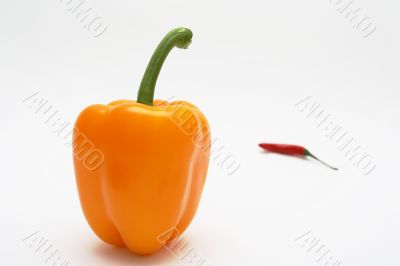 Yellow pepper and red chilli pepper