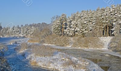 Nature in winter