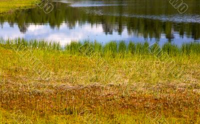 wood lake