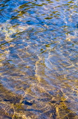 water background