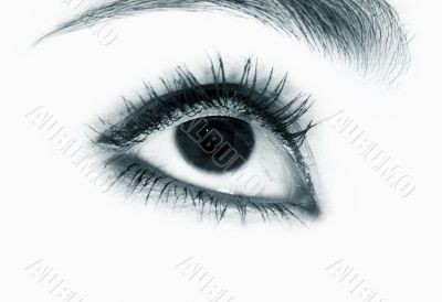 Beautiful eyes