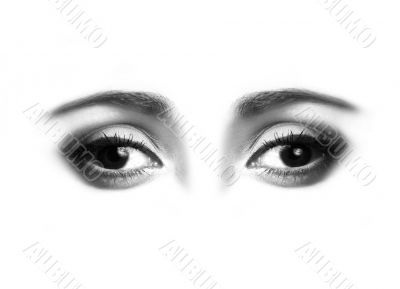 Beautiful eyes