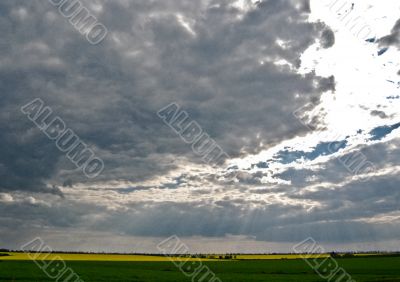 Sky above colorful meadow