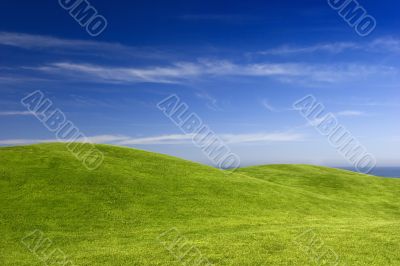 Green Meadow