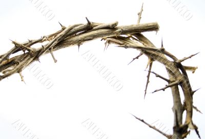 Crown of Thorns