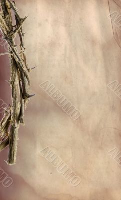 Old Paper Background