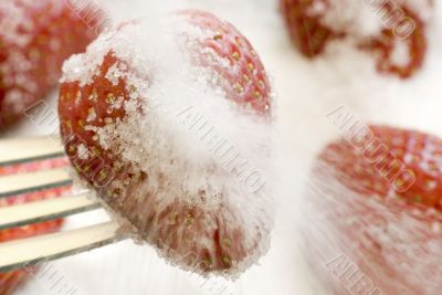 Sugar and Strawberries