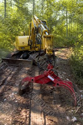 Working in the forest