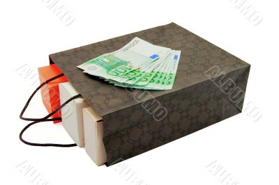 bag isolated with money